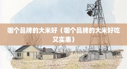 哪个品牌的大米好（哪个品牌的大米好吃又实惠）