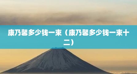 康乃馨多少钱一束（康乃馨多少钱一束十二）