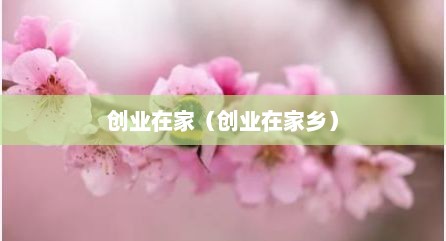 创业在家（创业在家乡）