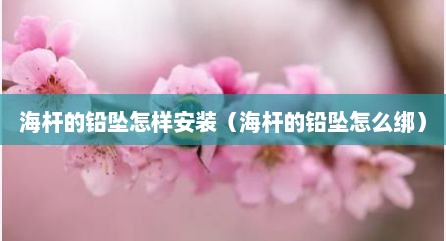 海杆的铅坠怎样安装（海杆的铅坠怎么绑）