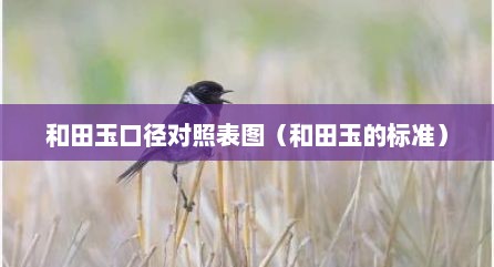 和田玉口径对照表图（和田玉的标准）