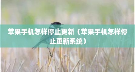 苹果手机怎样停止更新（苹果手机怎样停止更新系统）