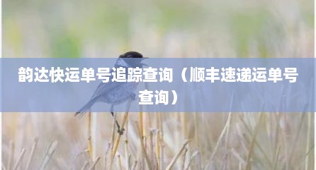 韵达快运单号追踪查询（顺丰速递运单号查询）