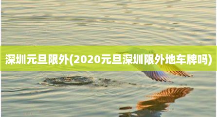 深圳元旦限外(2020元旦深圳限外地车牌吗)