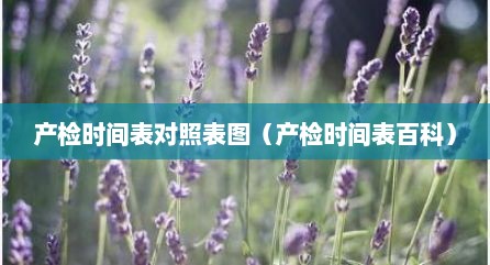 产检时间表对照表图（产检时间表百科）