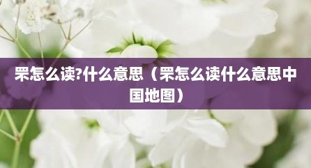 罘怎么读?什么意思（罘怎么读什么意思中国地图）