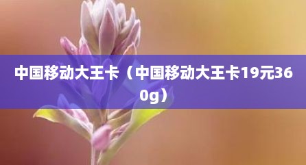 中国移动大王卡（中国移动大王卡19元360g）