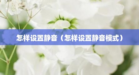 怎样设置静音（怎样设置静音模式）