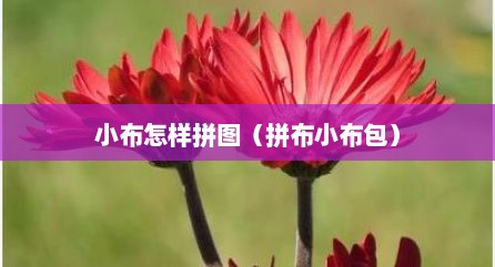 小布怎样拼图（拼布小布包）