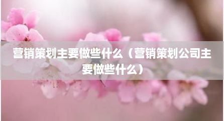营销策划主要做些什么（营销策划公司主要做些什么）