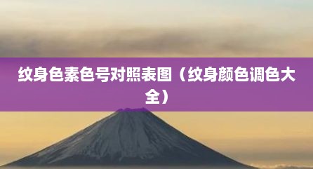 纹身色素色号对照表图（纹身颜色调色大全）