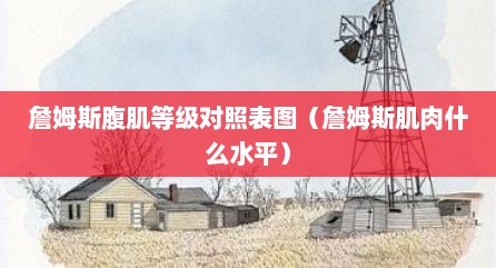詹姆斯腹肌等级对照表图（詹姆斯肌肉什么水平）