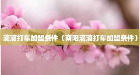 滴滴打车加盟条件（南阳滴滴打车加盟条件）