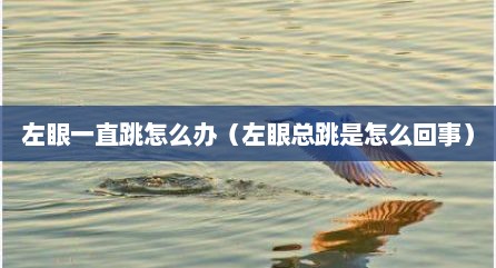 左眼一直跳怎么办（左眼总跳是怎么回事）