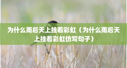 为什么雨后天上挂着彩虹（为什么雨后天上挂着彩虹仿写句子）