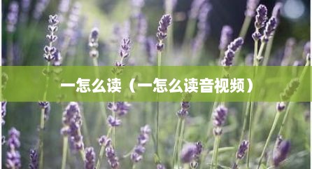 一怎么读（一怎么读音视频）