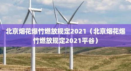 北京烟花爆竹燃放规定2021（北京烟花爆竹燃放规定2021平谷）