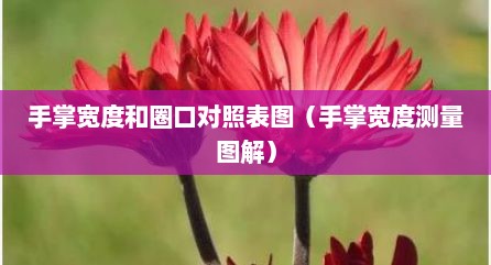 手掌宽度和圈口对照表图（手掌宽度测量图解）