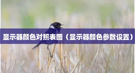 显示器颜色对照表图（显示器颜色参数设置）