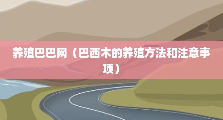 养殖巴巴网（巴西木的养殖方法和注意事项）