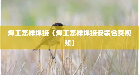 焊工怎样焊接（焊工怎样焊接安装合页视频）