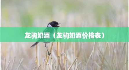 龙驹奶酒（龙驹奶酒价格表）