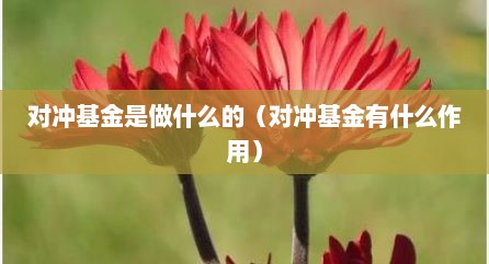 对冲基金是做什么的（对冲基金有什么作用）