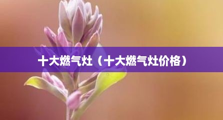 十大燃气灶（十大燃气灶价格）