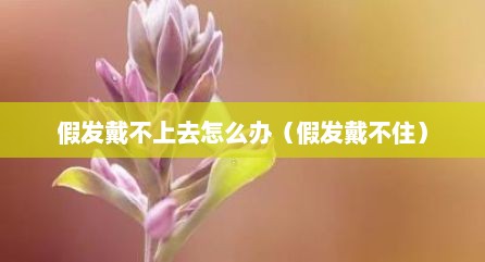 假发戴不上去怎么办（假发戴不住）