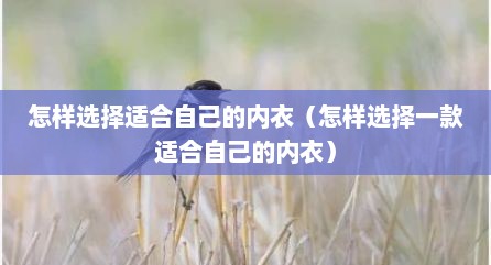 怎样选择适合自己的内衣（怎样选择一款适合自己的内衣）