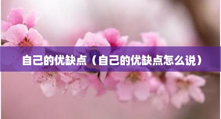 自己的优缺点（自己的优缺点怎么说）