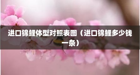 进口锦鲤体型对照表图（进口锦鲤多少钱一条）