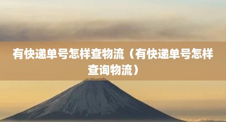 有快递单号怎样查物流（有快递单号怎样查询物流）