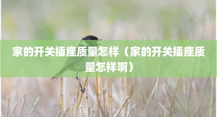 家的开关插座质量怎样（家的开关插座质量怎样啊）