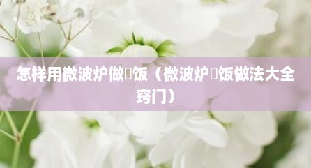 怎样用微波炉做焗饭（微波炉焗饭做法大全窍门）