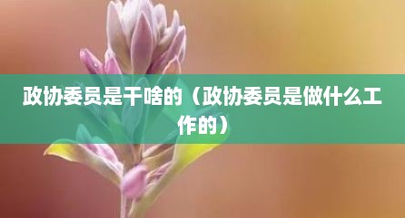 政协委员是干啥的（政协委员是做什么工作的）