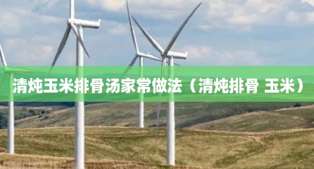 清炖玉米排骨汤家常做法（清炖排骨 玉米）