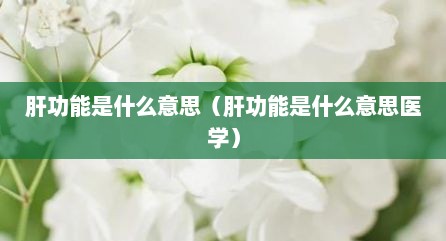 肝功能是什么意思（肝功能是什么意思医学）