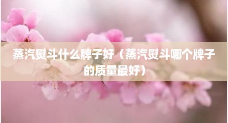 蒸汽熨斗什么牌子好（蒸汽熨斗哪个牌子的质量最好）