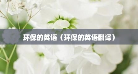环保的英语（环保的英语翻译）