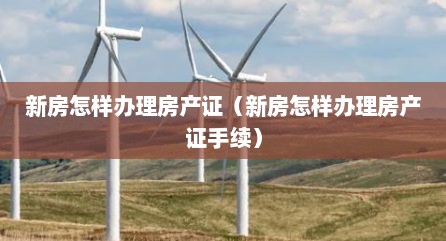 新房怎样办理房产证（新房怎样办理房产证手续）