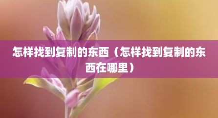 怎样找到复制的东西（怎样找到复制的东西在哪里）