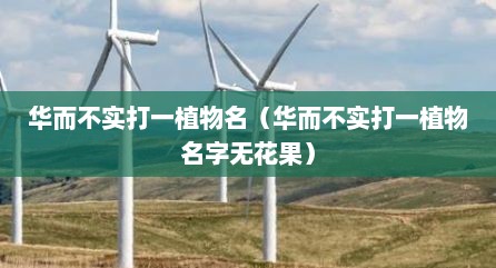 华而不实打一植物名（华而不实打一植物名字无花果）