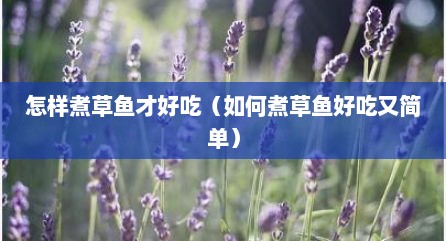 怎样煮草鱼才好吃（如何煮草鱼好吃又简单）