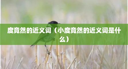 度竟然的近义词（小度竟然的近义词是什么）