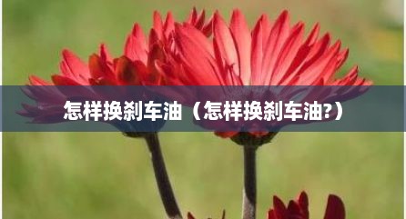 怎样换刹车油（怎样换刹车油?）