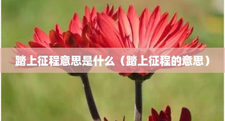 踏上征程意思是什么（踏上征程的意思）