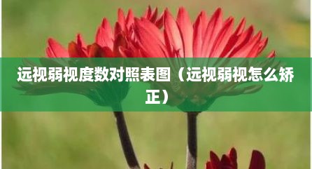 远视弱视度数对照表图（远视弱视怎么矫正）