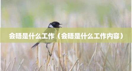 会晤是什么工作（会晤是什么工作内容）