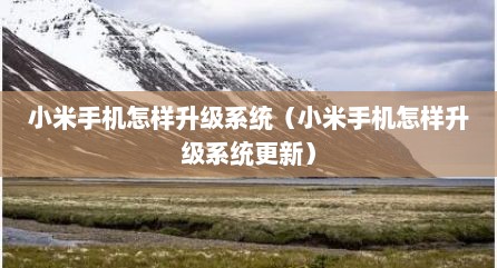 小米手机怎样升级系统（小米手机怎样升级系统更新）